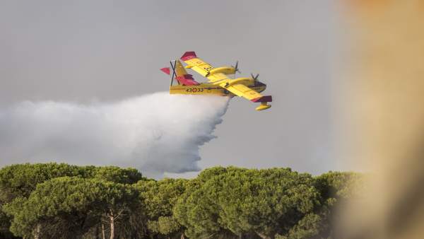 Efectivos en el incendio de Moguer (Huelva) Efectivos en el incendio de Moguer (Huelva)