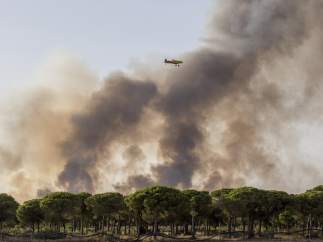 Incendio Doñana