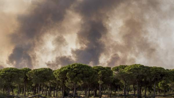 Incendio Doñana Incendio Doñana