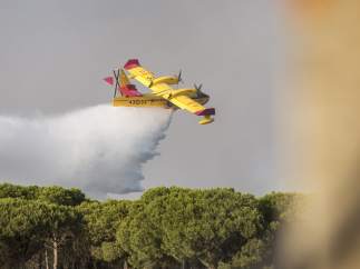 Incendio de Moguer (Huelva), Doñana