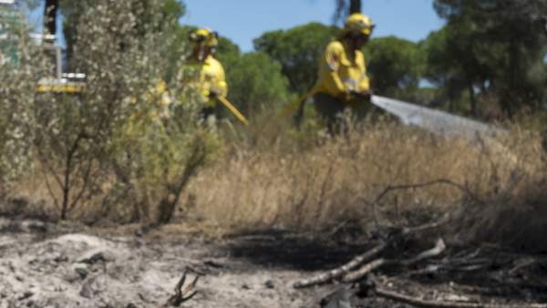 Incendio de Doñana Incendio de Doñana