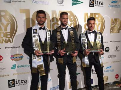 Míster Gay España 2017