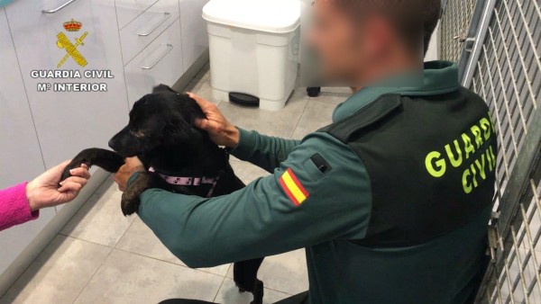 Perro rescatado por la Guardia Civil Perro rescatado por la Guardia Civil