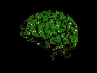 Cerebro, chip informático