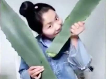 'Vlogger' china