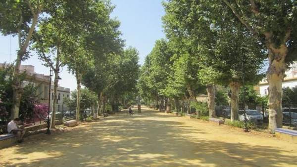 Alameda de Alfonso XIII en Carmona Alameda de Alfonso XIII en Carmona