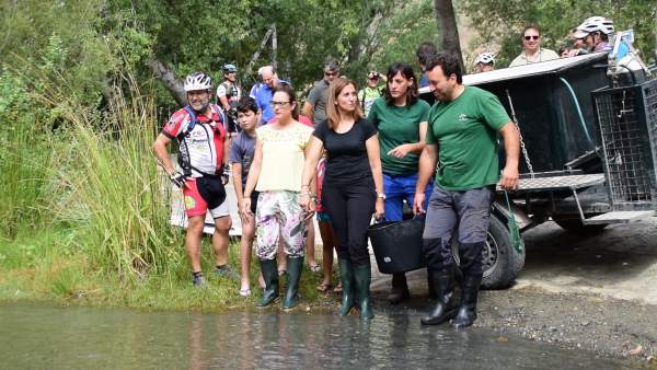 Liberados 400 alevines de trucha común en el río Guadalfeo Liberados 400 alevines de trucha común en el río Guadalfeo