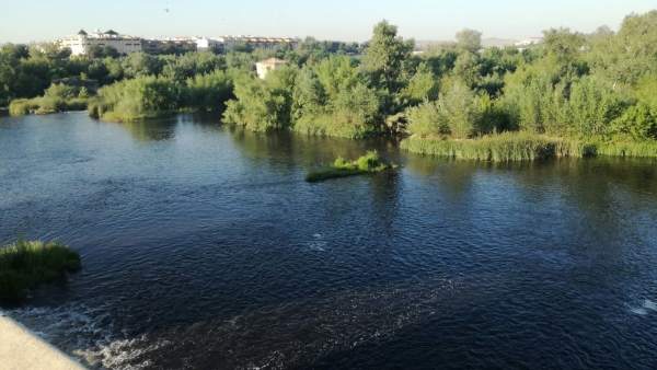 Imagen que ofrecía el Guadalquivir con el agua oscurecida por el orujo Imagen que ofrecía el Guadalquivir con el agua oscurecida por el orujo