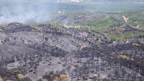 Incendio forestal en Riotinto Incendio forestal en Riotinto