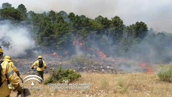 Incendio en la Sierra de Segura Incendio en la Sierra de Segura