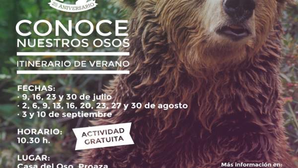 Cartel de las jornadas 'Conoce nuestros Osos' Cartel de las jornadas 'Conoce nuestros Osos'