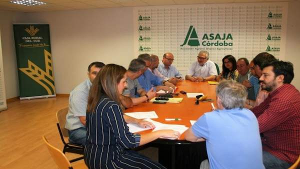 Responsables de Asaja, COAG, UGT y CCOO, durante la firma Responsables de Asaja, COAG, UGT y CCOO, durante la firma