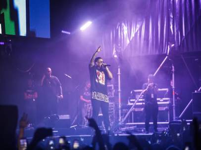 Daddy Yankee en su actuación en València
