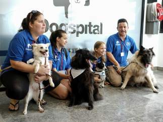 Dogspital