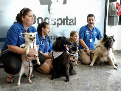 Dogspital