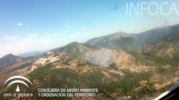 Incendio en la Sierra de Segura (Jaén) Incendio en la Sierra de Segura (Jaén)
