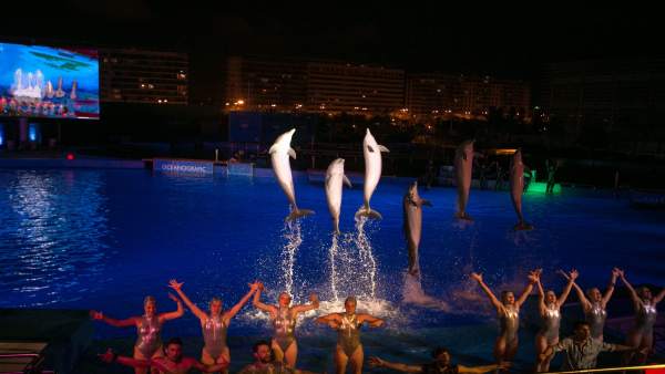 Noches del Oceanogràfic Noches del Oceanogràfic