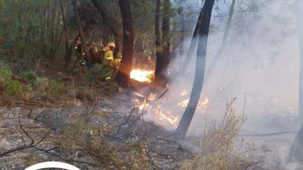 Incendio en Calañas (Huelva) Incendio en Calañas (Huelva)