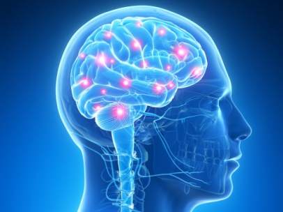 Cerebro