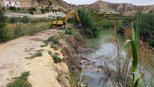 La CHS recupera el cauce del río Segura y elimina las cañas La CHS recupera el cauce del río Segura y elimina las cañas