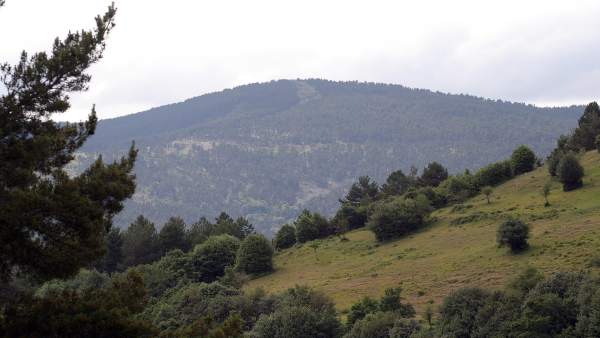 Paisaja de la Sierra Cebollera Paisaja de la Sierra Cebollera