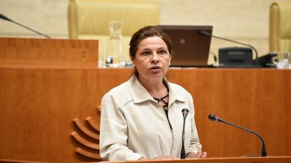 Pilar Blanco-Morales, en su comparecencia en el Pleno Pilar Blanco-Morales, en su comparecencia en el Pleno