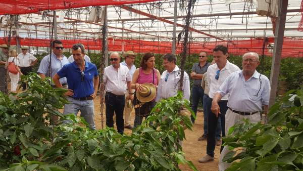 Consejero con agricultura ecológica Consejero con agricultura ecológica