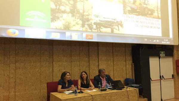 Plan de gestión de los montes públicos en Sierra Morena Plan de gestión de los montes públicos en Sierra Morena
