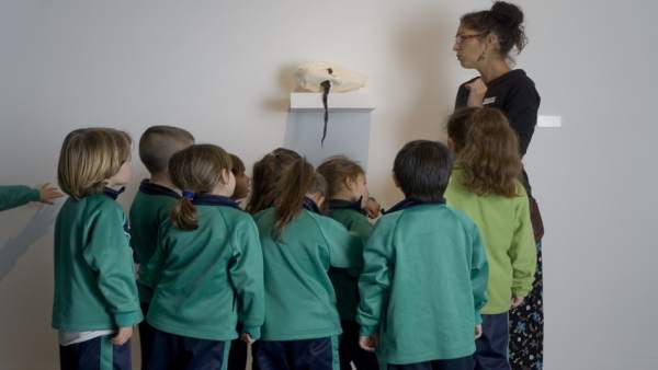 Nota De Prensa Y Fotografías: Tea Proyectos Escolares Nota De Prensa Y Fotografías: Tea Proyectos Escolares