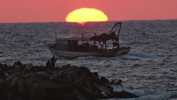 Pesca al atardecer Pesca al atardecer