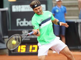 David Ferrer