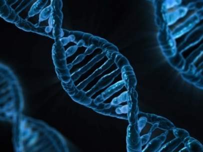 ADN, genes, genética