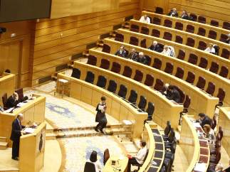 Senado