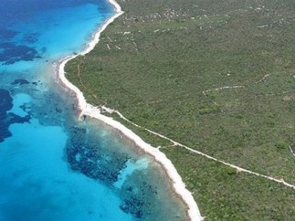 Pradera submarina de la "posidonia" mediterránea