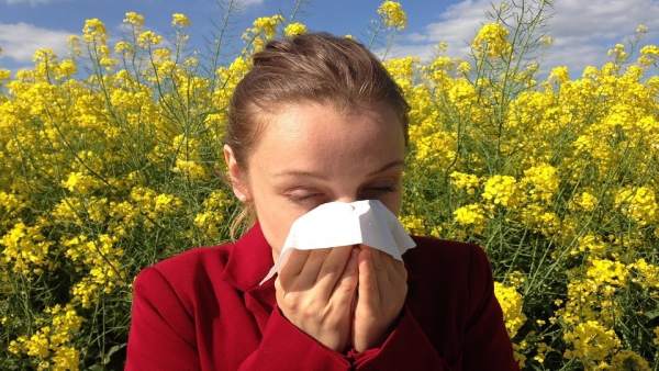 Alergia, estornudo, halitosis Alergia, estornudo, halitosis
