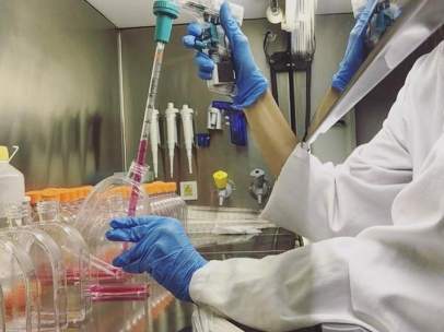 Investigación contra el cáncer