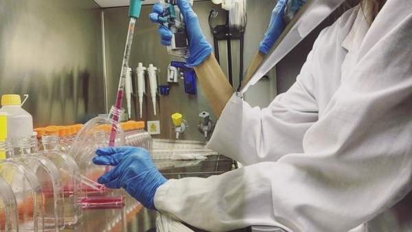 Investigación contra el cáncer Investigación contra el cáncer