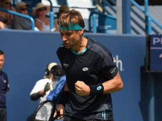 David Ferrer