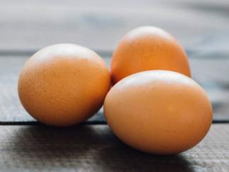 Huevos