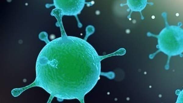 Virus, bacterias, microbios Virus, bacterias, microbios