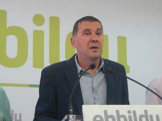 Arnaldo Otegi
