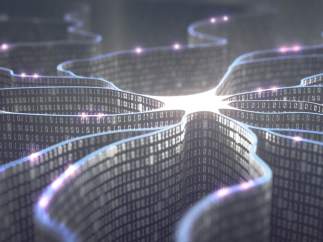 Chips y neuronas