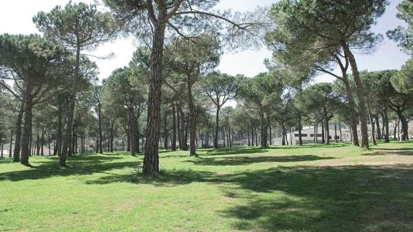 Camping Pinsapo Azul, malaga, naturaleza, camping, Camping Pinsapo Azul, malaga, naturaleza, camping,