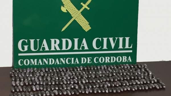 Bellotas intervenidas Bellotas intervenidas