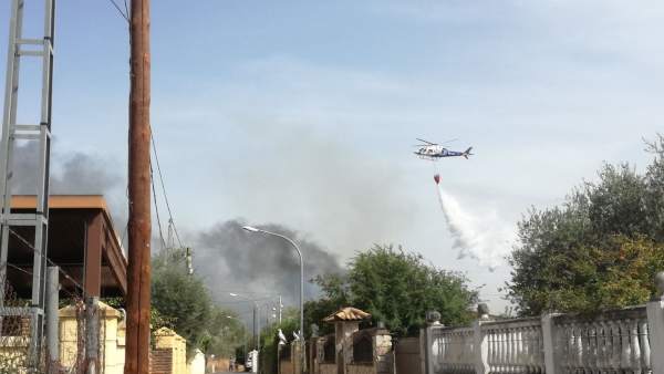 Fuego en las zonas de ribera del Guadalquivir a su paso por Córdoba Fuego en las zonas de ribera del Guadalquivir a su paso por Córdoba