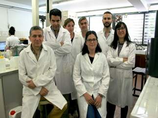 Investigadores obtienen un bioplástico a través de la proteína de soja