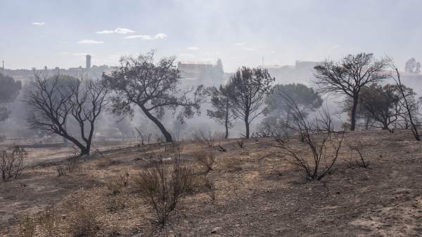 Efectos del incendio en el entorno de Doñana una semana después de declararse Efectos del incendio en el entorno de Doñana una semana después de declararse
