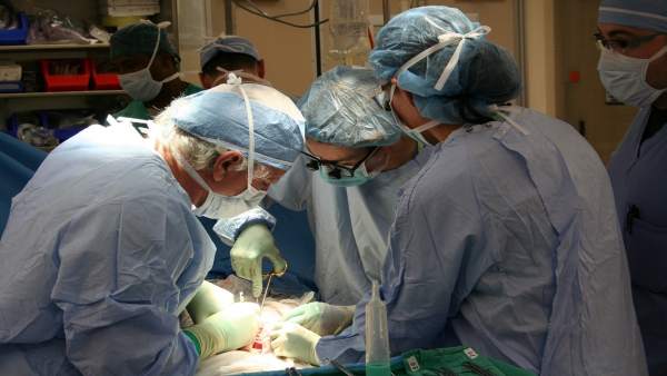 Cirugía, operación, trasplante Cirugía, operación, trasplante