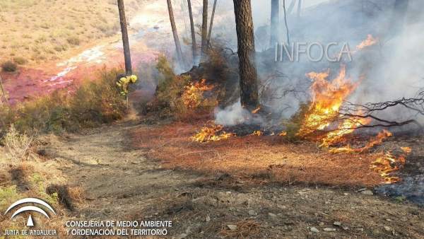 Incendio declarado en Nerva (Huelva) Incendio declarado en Nerva (Huelva)