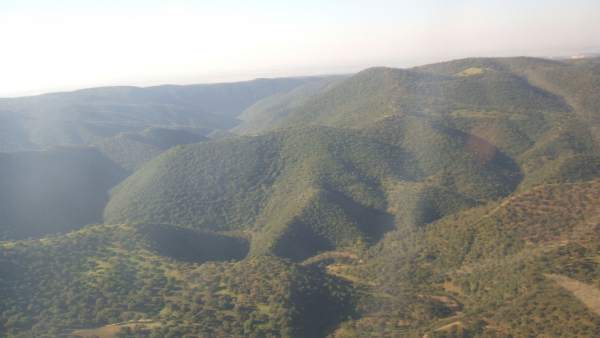 Imagen de la Sierra Morena de Córdoba Imagen de la Sierra Morena de Córdoba